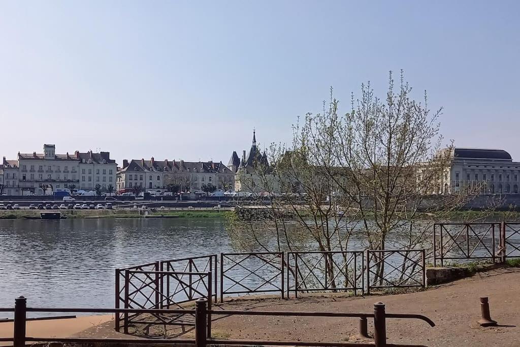 Les Marronniers Appartement Centre Saumur Bord De Loire Dış mekan fotoğraf