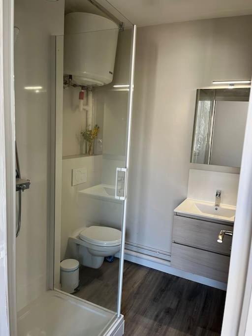Les Marronniers Appartement Centre Saumur Bord De Loire Dış mekan fotoğraf