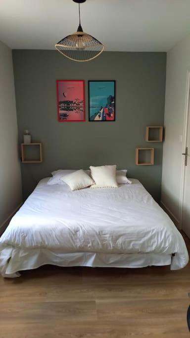 Les Marronniers Appartement Centre Saumur Bord De Loire Dış mekan fotoğraf